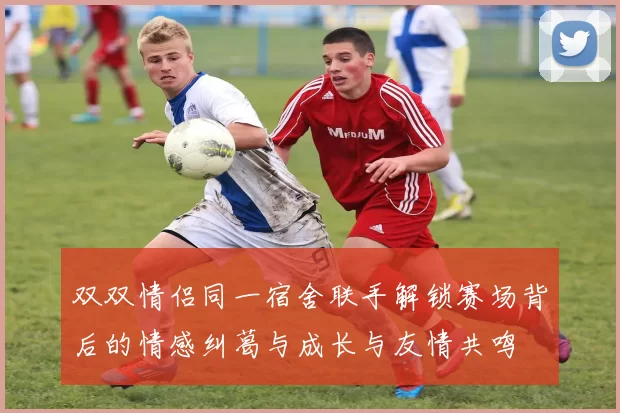 双双情侣同一宿舍联手解锁赛场背后的情感纠葛与成长与友情共鸣